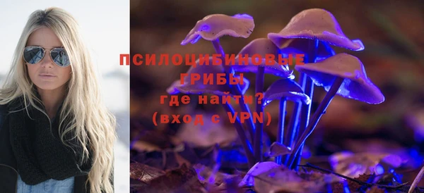 трава Надым