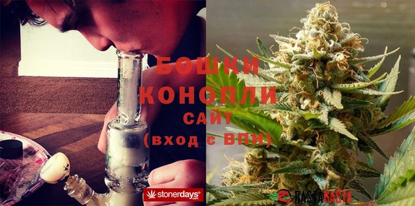 ГАЛЛЮЦИНОГЕННЫЕ ГРИБЫ Наволоки