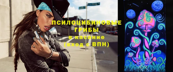 ГАЛЛЮЦИНОГЕННЫЕ ГРИБЫ Наволоки