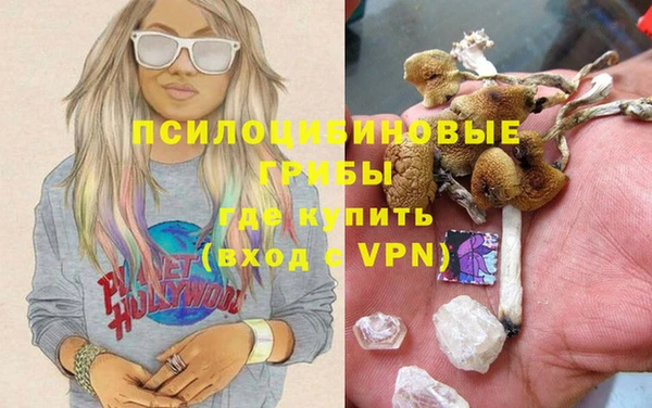 a pvp Белая Холуница