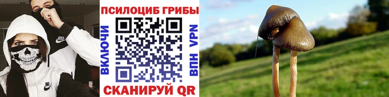 наркота  сайты даркнета как зайти  Галлюциногенные грибы MAGIC MUSHROOMS  Первоуральск 